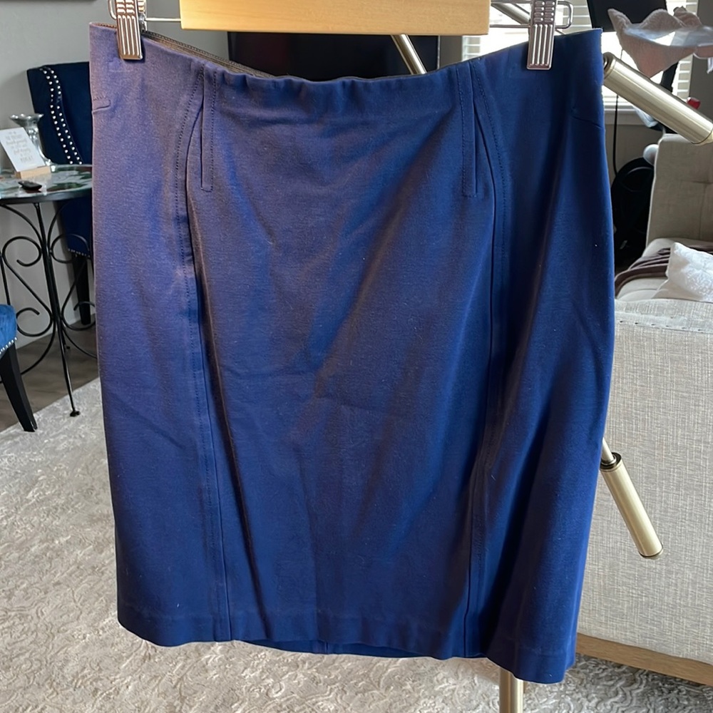 Ann Taylor Blue Skirt
